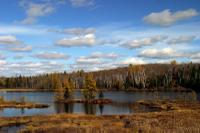 Algonquin National Park